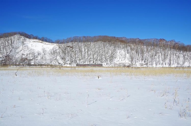 雪に覆われた釧路湿原の中を進む列車（茅沼駅～塘路駅間）
