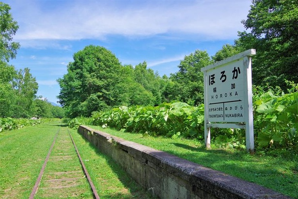 糠平駅と十勝三股駅の中間にあった幌加（ほろか）駅付近も春から秋まで散策できるよう整備されています