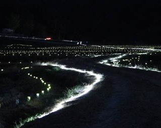 田園を飾るイルミネーション！大分県豊後高田市で｢田染荘 千年のきらめき｣開催中