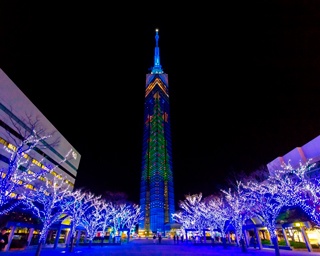 今週末の予定はコレで決まり！週末イベント5選・福岡県編［2018年12月14日(金)～16日(日)］