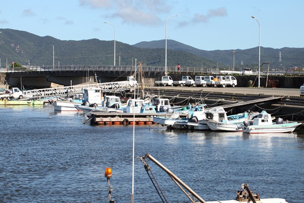 福江漁港では、シェフが獲れたてのアサリを酒蒸しにしてくれる/「畑レストランと海食堂をめぐる渥美半島三河湾コース」(1万5980円)
