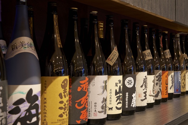 アルコール類は焼酎、日本酒にビール、ワイン、ハイボールなど充実