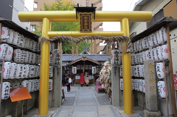 金色の鳥居に金運上昇の期待大/御金神社