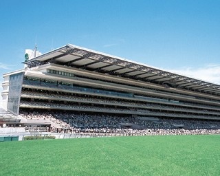JRA東京競馬場で有馬記念を楽しもう！スペシャルライブやファミリーイベントも開催