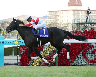 スペシャルゲストやイベントにも注目！冬の阪神競馬場