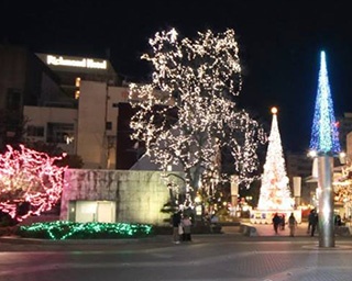 高さ17メートルの巨大なクリスマスツリー！高知県高知市「イルミネーションフェスタ2018」