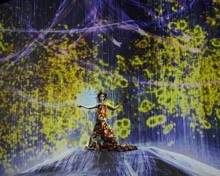 蜷川実花がチームラボ ボーダレスの世界観を写真で撮り下ろしたフォトエキシビションを開催！