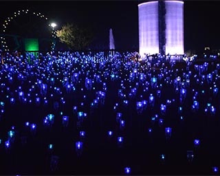 福井県の冬を彩る！福井県のゆりの里公園でライトアップとプロジェクションマッピング実施