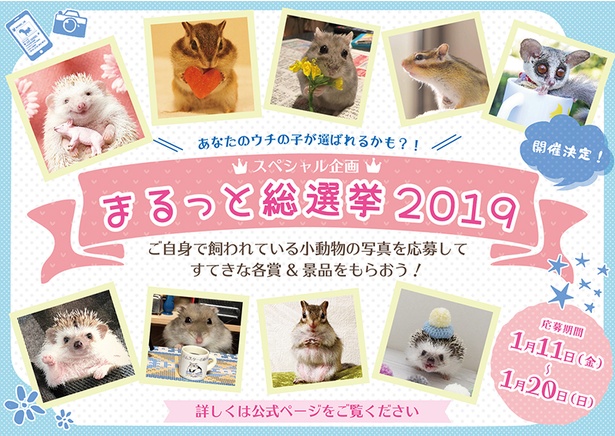 期間中はツィッターやインスタグラムを使ったコンテスト企画も実施される