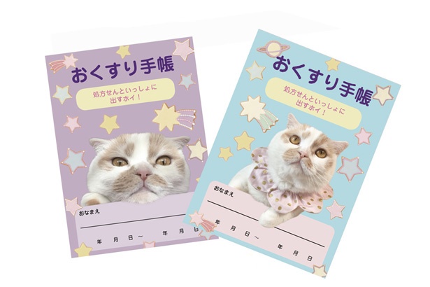 ホイ主「おくすり手帳」(540円)