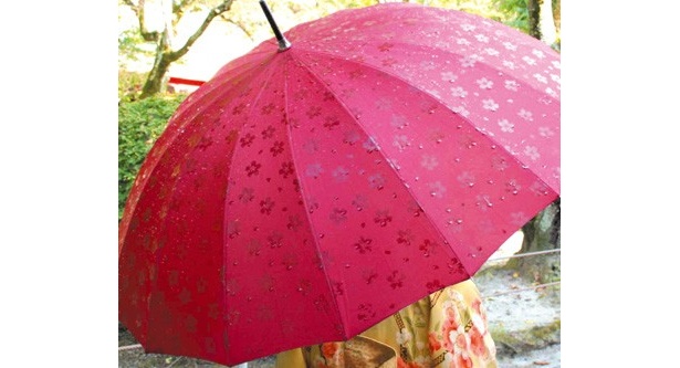 憂鬱な秋雨シーズンを乗り切る“模様が浮き出る傘”がバカ売れ中