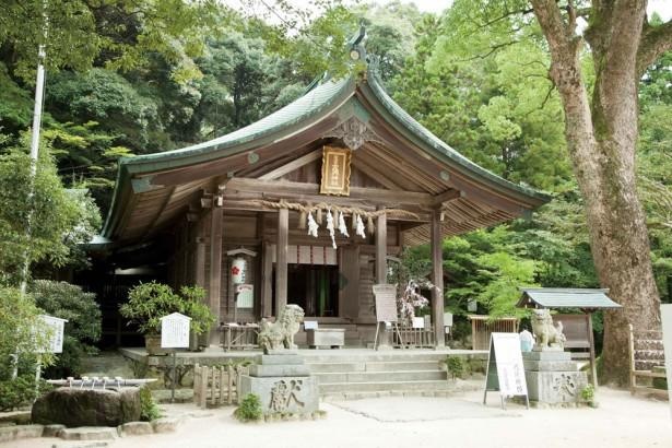 19年は絶対幸せになってやる 良縁 恋愛成就に効く福岡の神社5選 ウォーカープラス