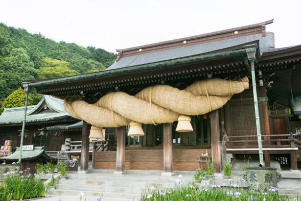 【写真を見る】宮地嶽神社の大注連縄(おおしめなわ) 。全長11m、重さ約3t、直径2.6m。毎年、有志で作り付け替える注連縄として日本一を誇る