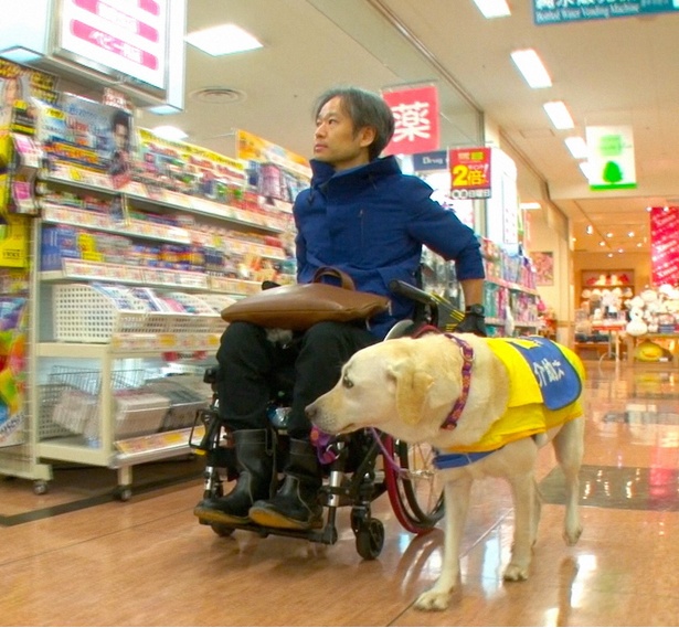 絵筆を折った車いすの男性と介助犬の絆とは