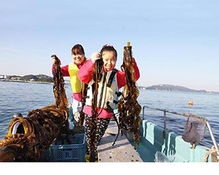 親子で漁師体験！徳島県・ルネッサンスリゾートナルトで「鳴門わかめ収穫体験ツアー」