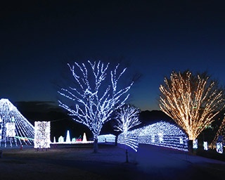 雪国・山形の冬を思いっきり楽しもう！「第4回 やまがた雪フェスティバル」開催