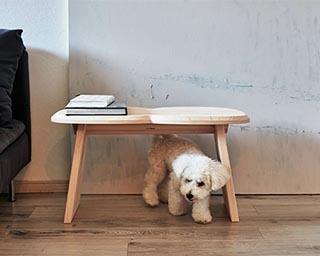 デザイン性のある木製品を展示販売！石川県金沢市で「WOOD DESIGN」開催中