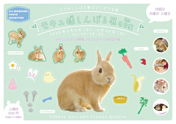 今年4月に10才になるモキュ様