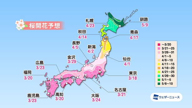 全国主要都市の桜開花予想(情報は2021年1月13日発表 ウェザーニューズ)