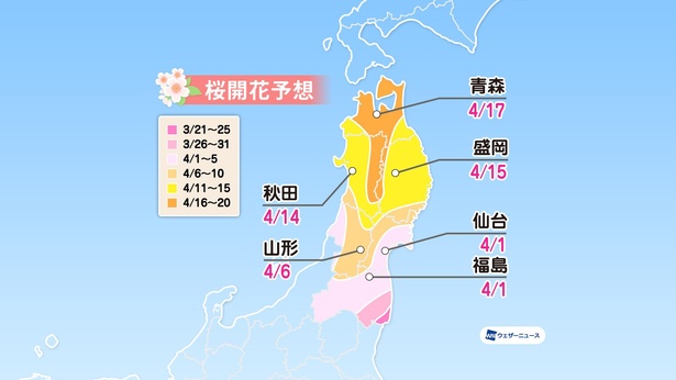 東北地方の桜開花予想(情報は2021年1月13日発表 ウェザーニューズ)