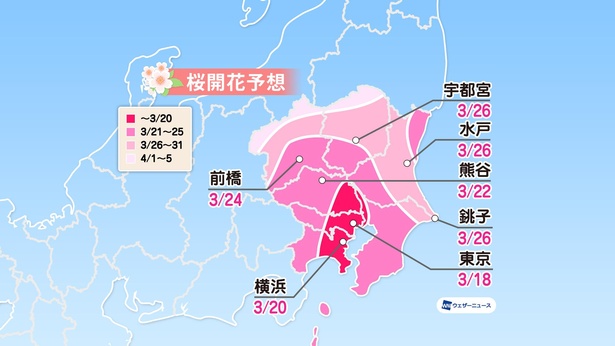 関東地方の桜開花予想(情報は2021年1月13日発表 ウェザーニューズ)