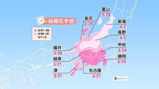 中部地方の桜開花予想(情報は2021年1月13日発表 ウェザーニューズ)