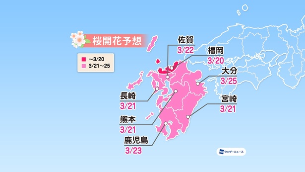 九州地方の桜開花予想(情報は2021年1月13日発表 ウェザーニューズ)