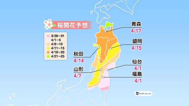 予想 2021 開花 桜