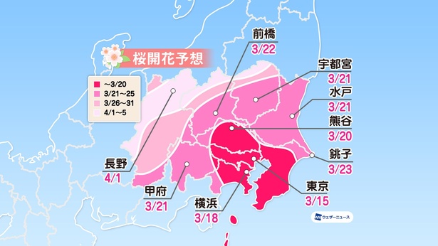 関東・甲信地方の桜開花予想(情報は2022年1月13日発表  ウェザーニューズ)