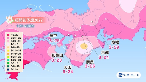 関西 桜 開花 予想 2022 吉野山の桜2022見頃の時期や開花予想！混雑状況や渋滞予想！