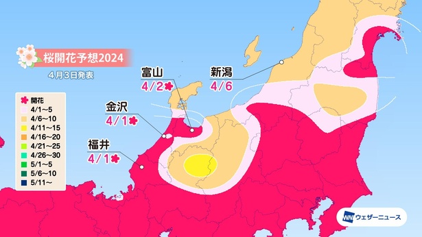 北陸地方の桜開花予想(情報は2024年4月3日発表 ウェザーニューズ)
