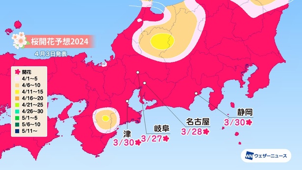 東海地方の桜開花予想(情報は2024年4月3日発表 ウェザーニューズ)