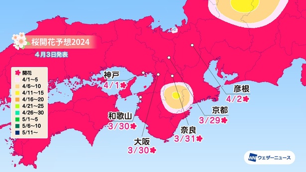 近畿地方の桜開花予想(情報は2024年4月3日発表 ウェザーニューズ)