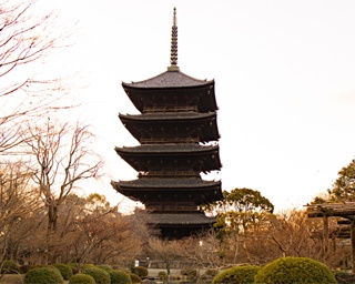 東京から2時間。古都・京都の冬を楽しむ