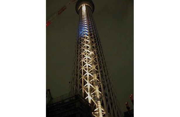 スカイツリー点灯写真