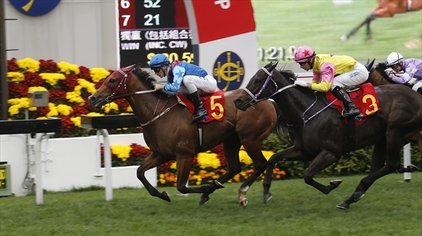 盛り上がる旧正月競馬！