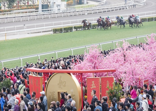 華やかな旧正月競馬