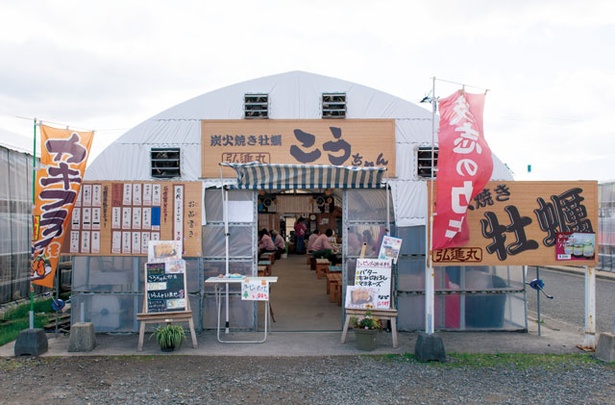 弘進丸こうちゃん / 元気なスタッフがお出迎え