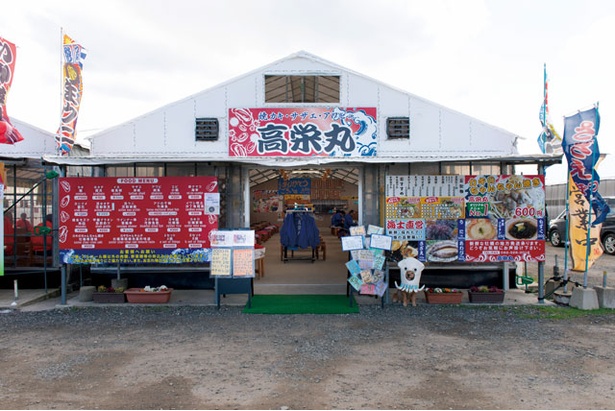 高栄丸(糸島市・志摩岐志)