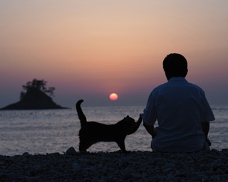 岩合光昭の写真展「ねことじいちゃん」開催！ネコたちのほのぼのショットをチラ見せっ!!