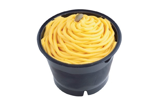 3層構造のカボチャスイーツ！「えびすかぼちゃのモンブランプリン」(230円)/ファミリーマート　※10月22日(金)発売