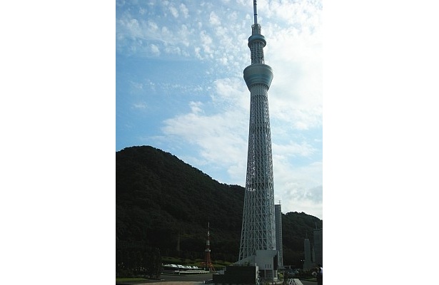 うしろに見える東京タワーとの差は歴然だ