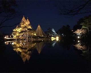雪吊が美しい幻想的な夜の庭園散策。石川県金沢市「金沢城・兼六園ライトアップ冬の段」