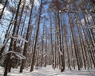 冬ならではの風景を満喫する1日！福島県耶麻郡北塩原村で「フォト＆トレック」開催