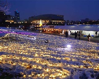 光と音楽による冬の祭典！富山県富山市で「環水公園ウインターファンタジア」開催