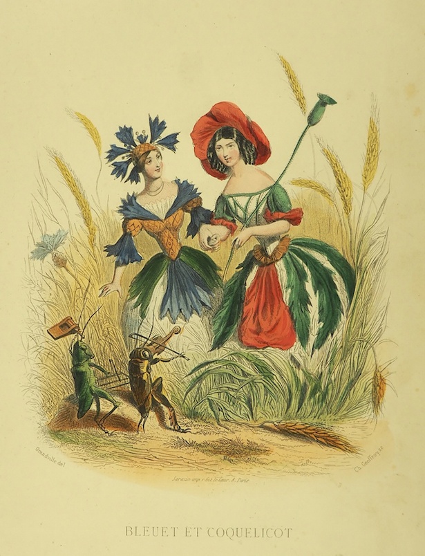 『生きている花々』（1867 年・初版1847 年）より《ヤグルマギクとヒナゲシ》