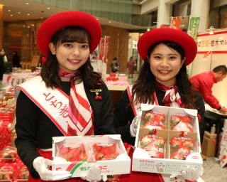 イチゴ無料配布も!「いちご王国・栃木フェア in Tokyo」が大盛り上がり