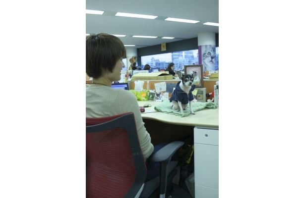 【写真】こんなところにもワンちゃんが！