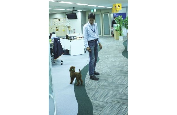社内を元気よく駆け回るワンちゃん