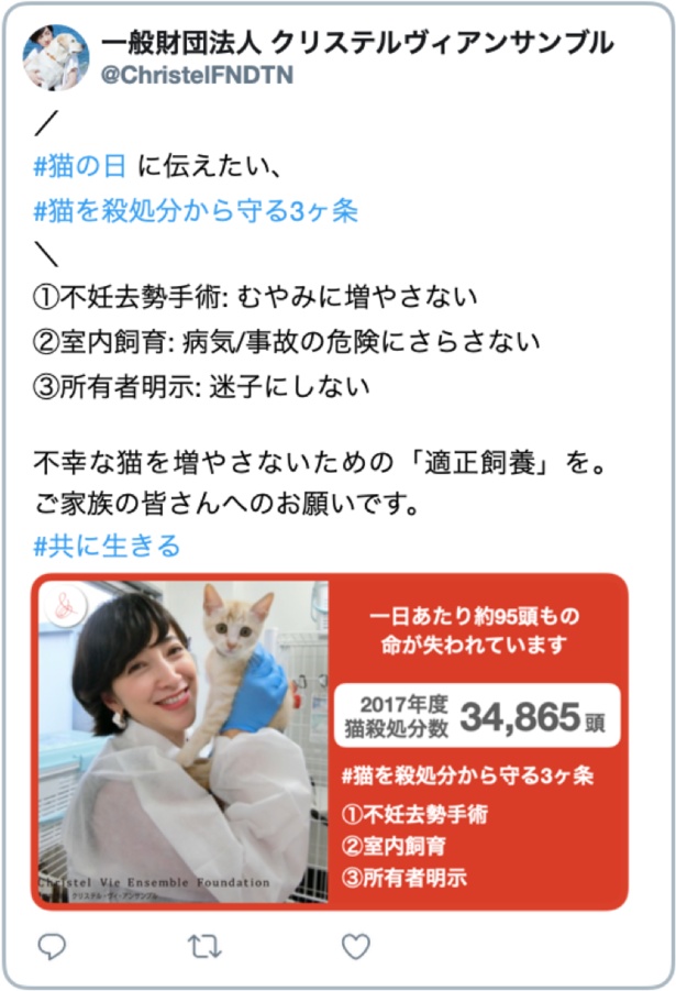 殺処分への啓蒙活動ツイートも行われる（画像はイメージ）